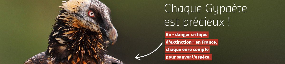 Chaque Gypaete est précieux - campagne de communication