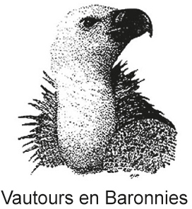 logo_vebsans_bordure.jpg