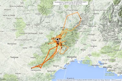 Figure 1 : Carte des déplacements de Cazals au 5 novembre 2015