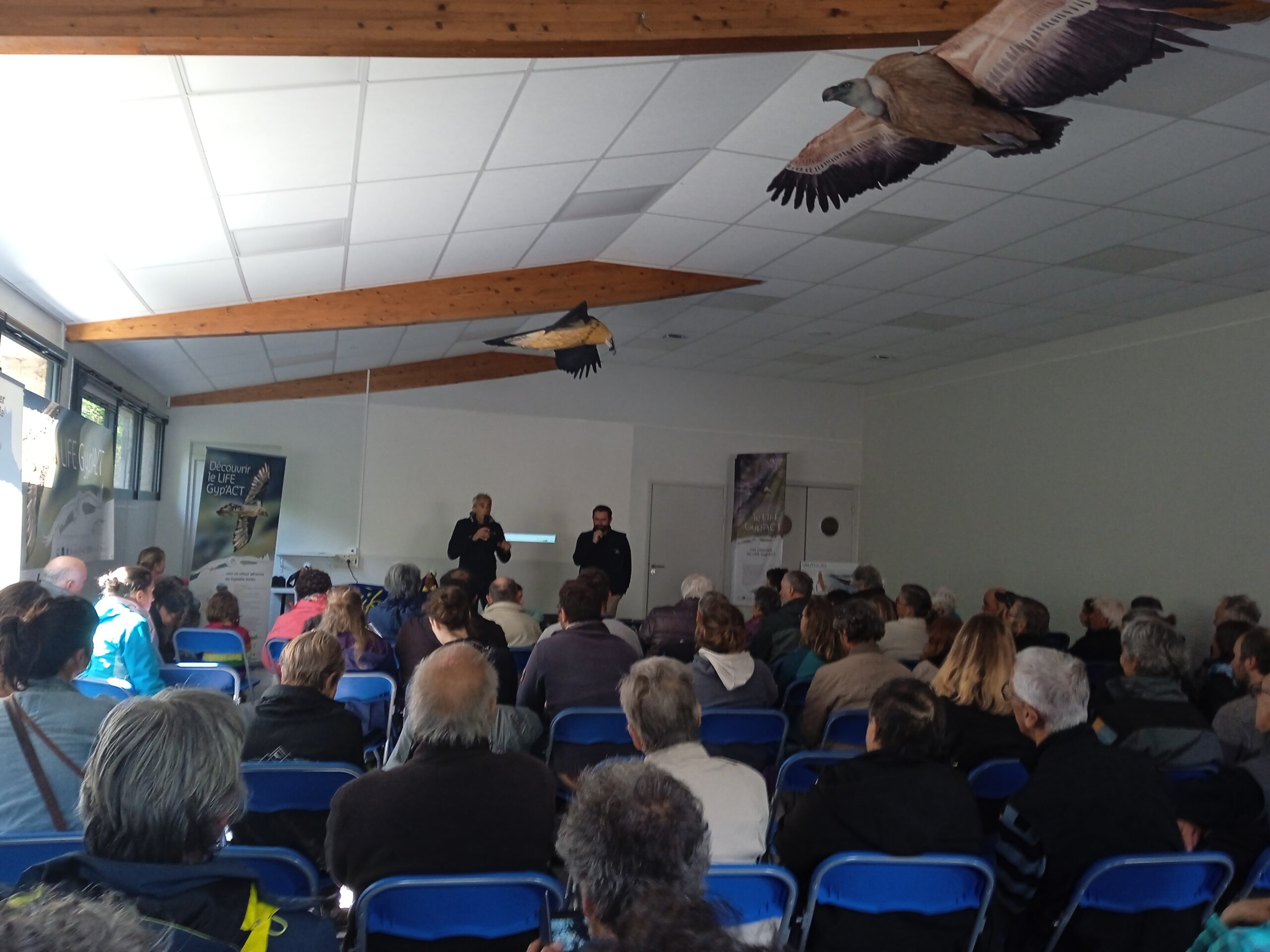 Conférence de présentation du programme de réintroduction et du Life Gyp'Act