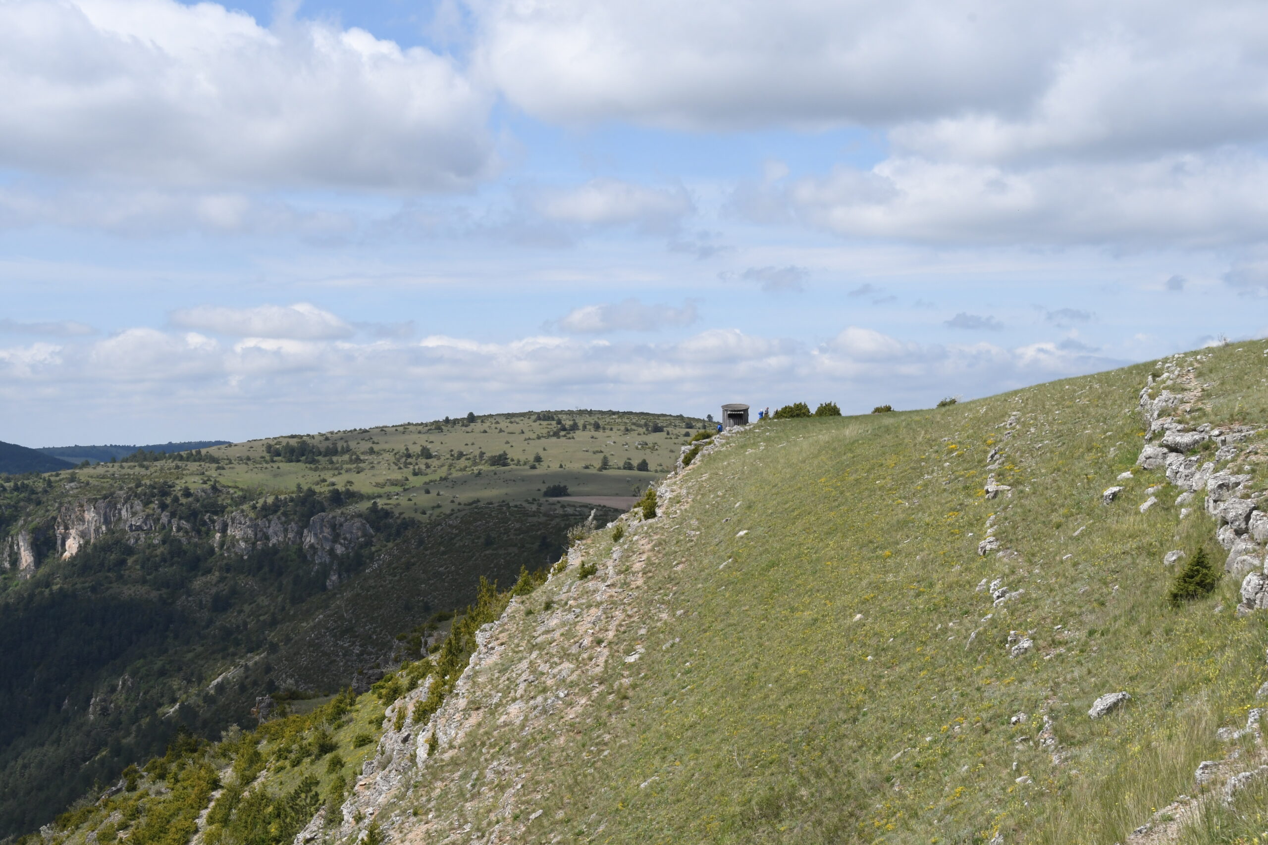 Vue sur le poste d'observation, depuis lequel le suivi des oiseaux est effectué